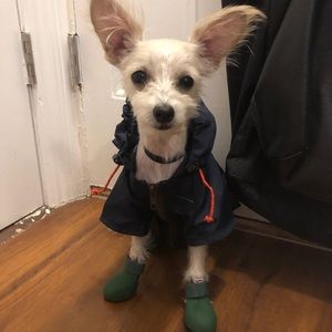 WAGWEAR Navy XS Dog Raincoat Jacket Coat